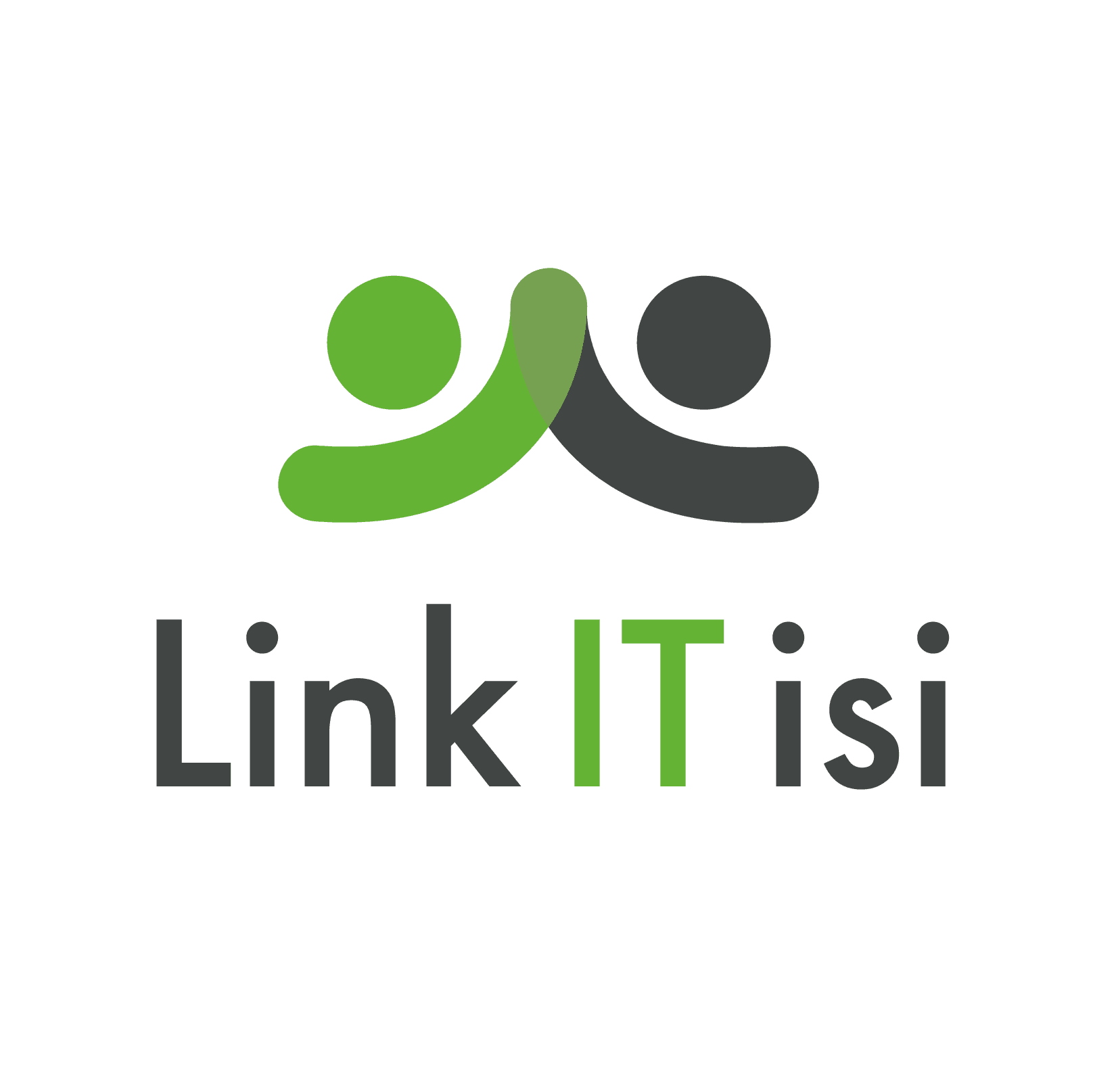 Link IT isi GmbH logo