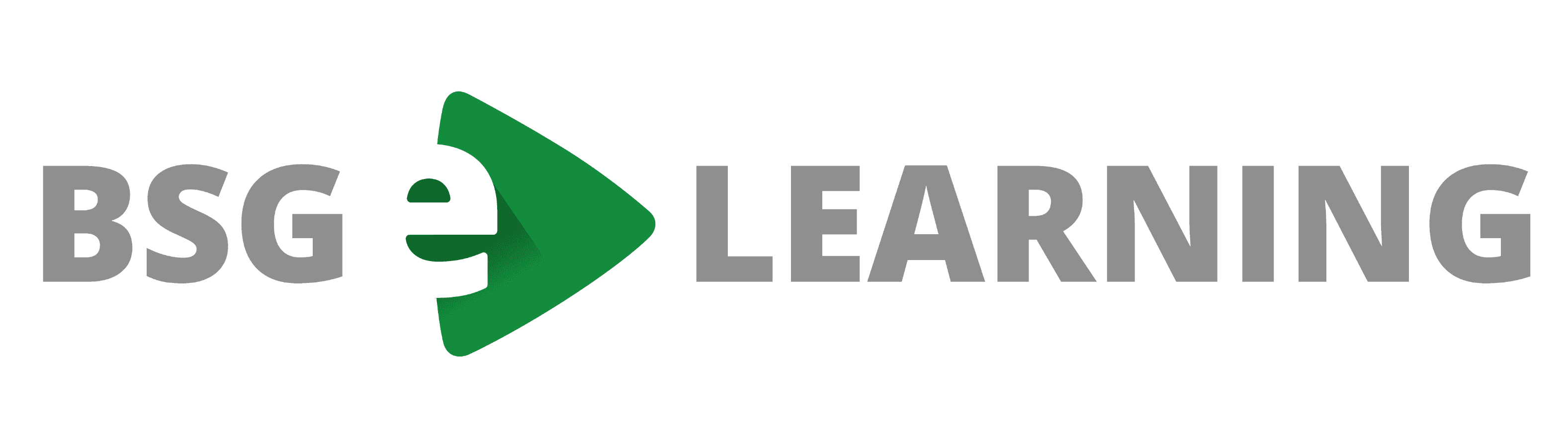 BSG GmbH