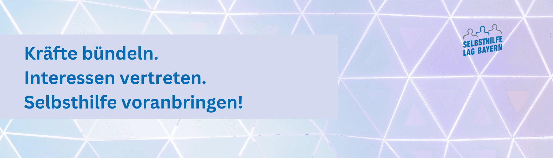 LAG SELBSTHILFE Bayern e.V.