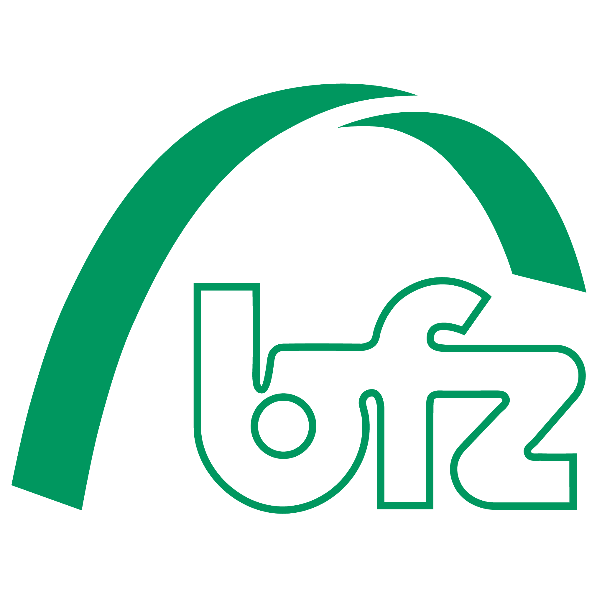 bfz gGmbH logo